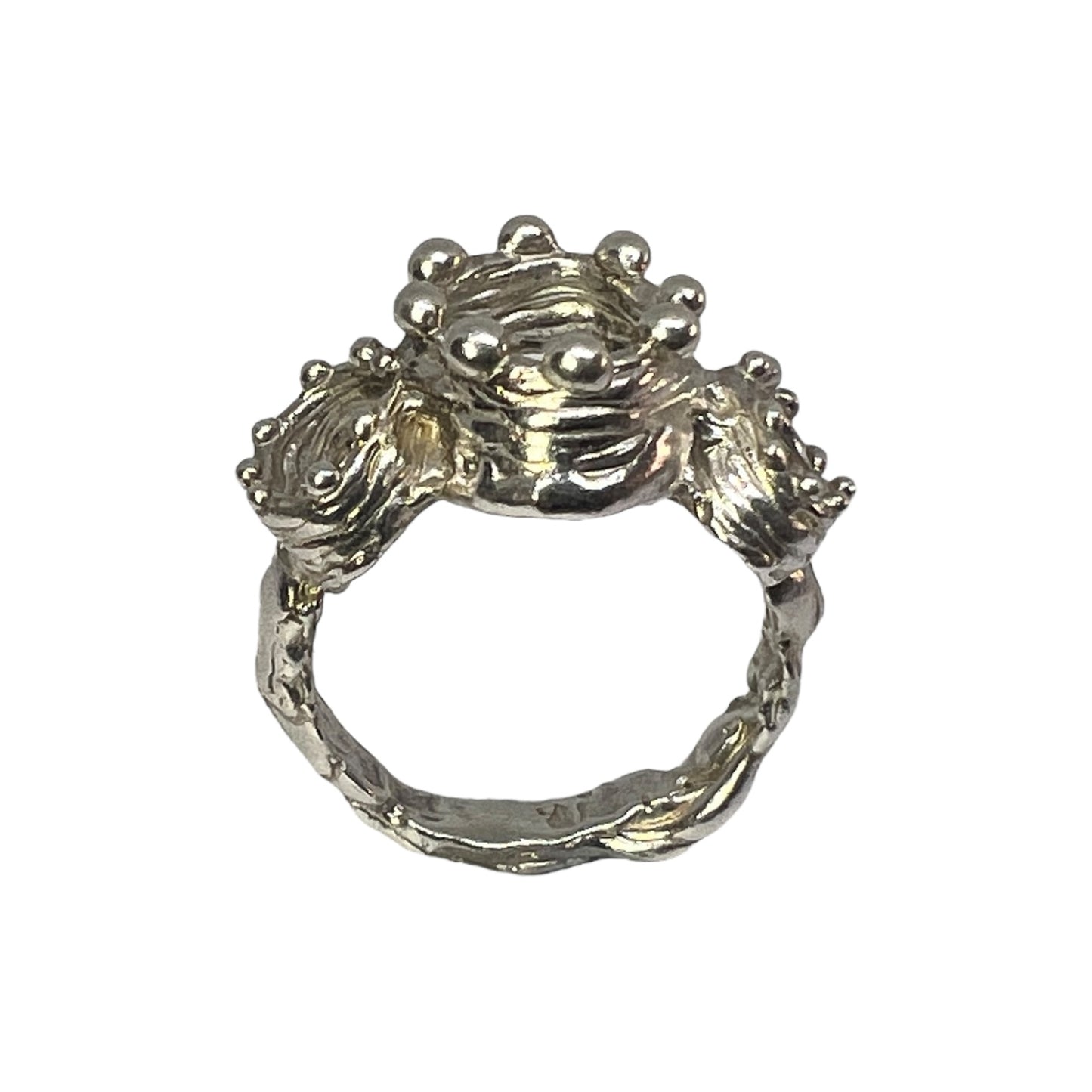 Missing Crown Ring