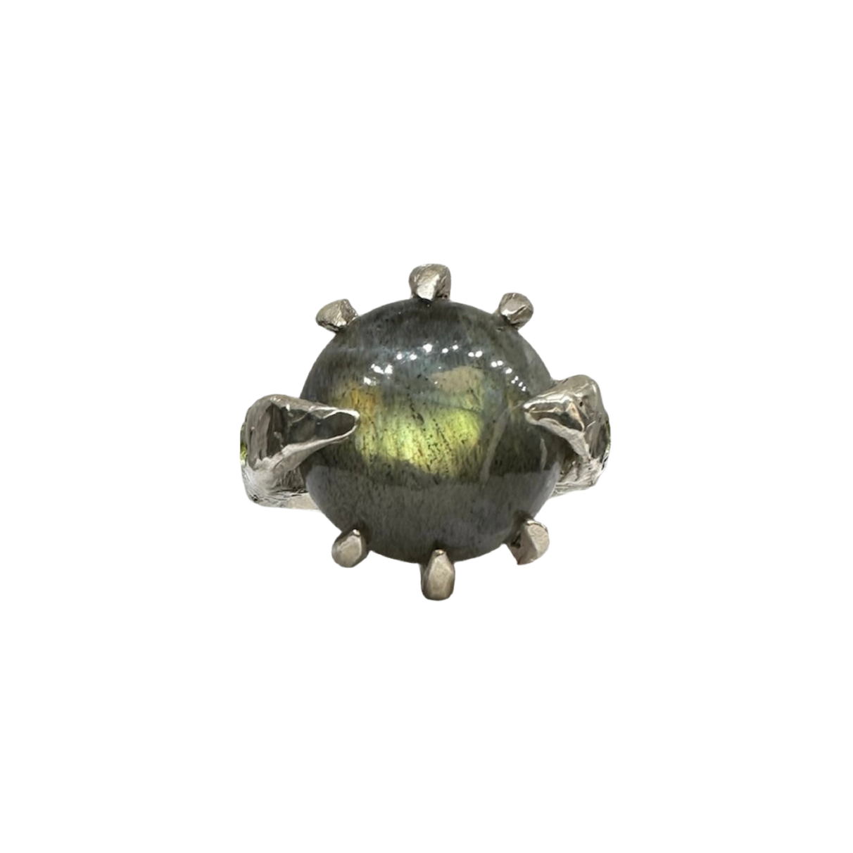 Labrador Ring