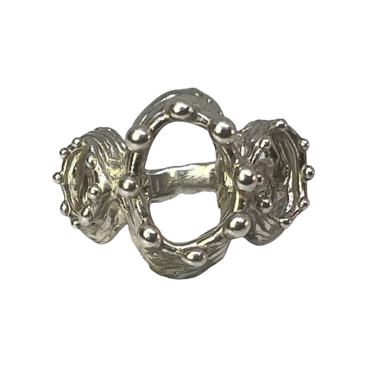 Missing Crown Ring