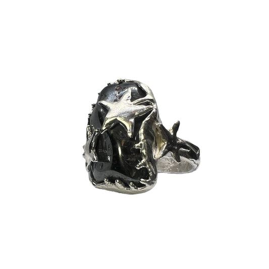 Cosmic Ring